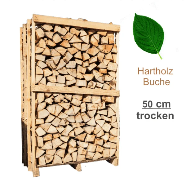 Premium Buchenbrennholz ofenfertig 50cm trocken 2 Ster Box